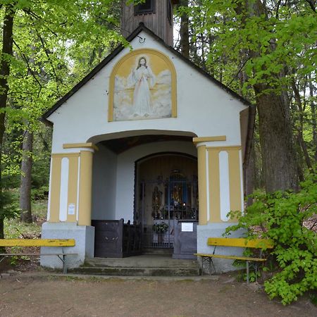 Weingut Seiner Vlg. Kraxner Villa Greisdorf Bagian luar foto