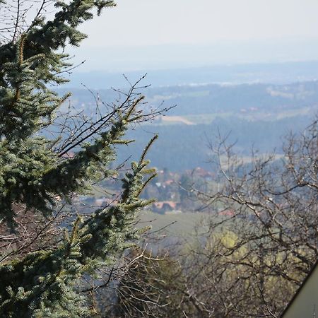 Weingut Seiner Vlg. Kraxner Villa Greisdorf Bagian luar foto