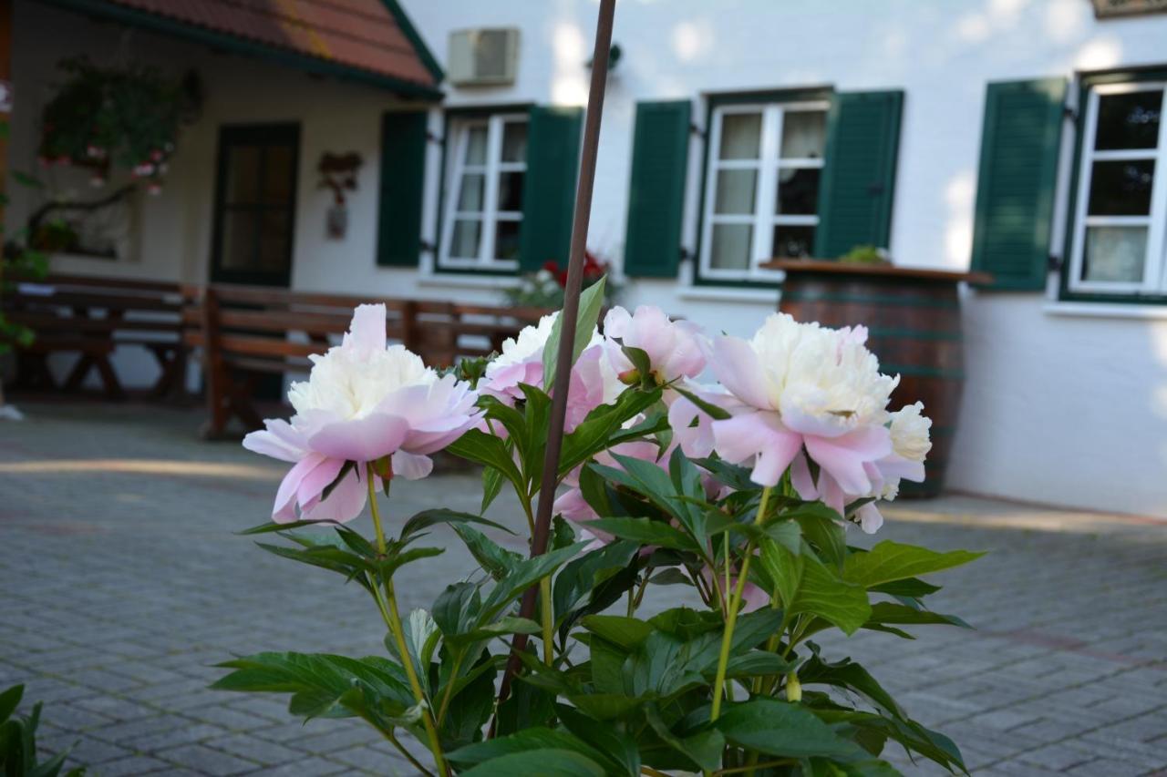 Weingut Seiner Vlg. Kraxner Villa Greisdorf Bagian luar foto