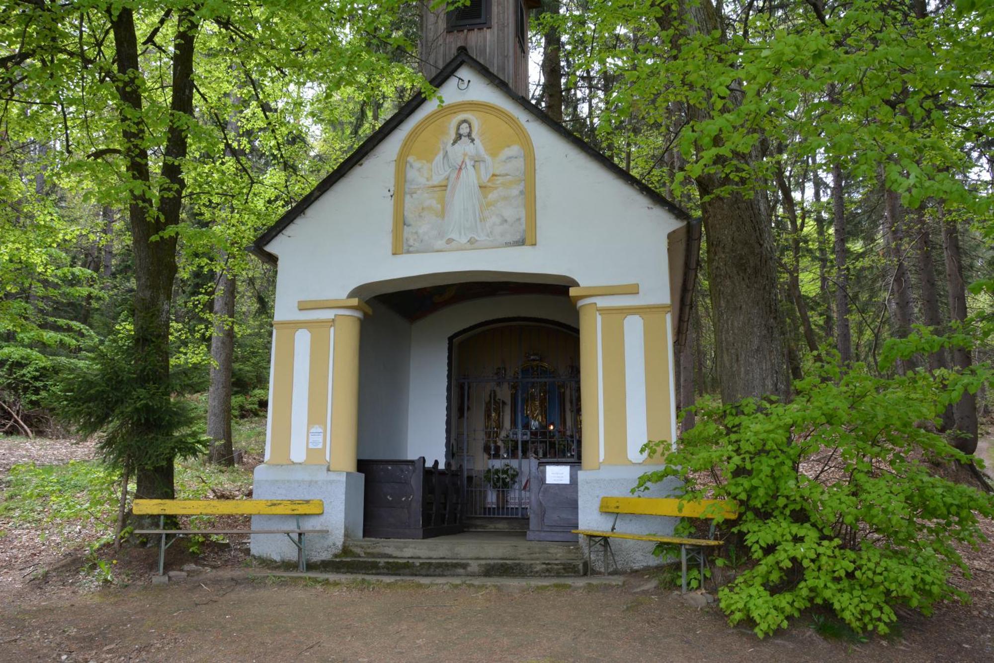 Weingut Seiner Vlg. Kraxner Villa Greisdorf Bagian luar foto