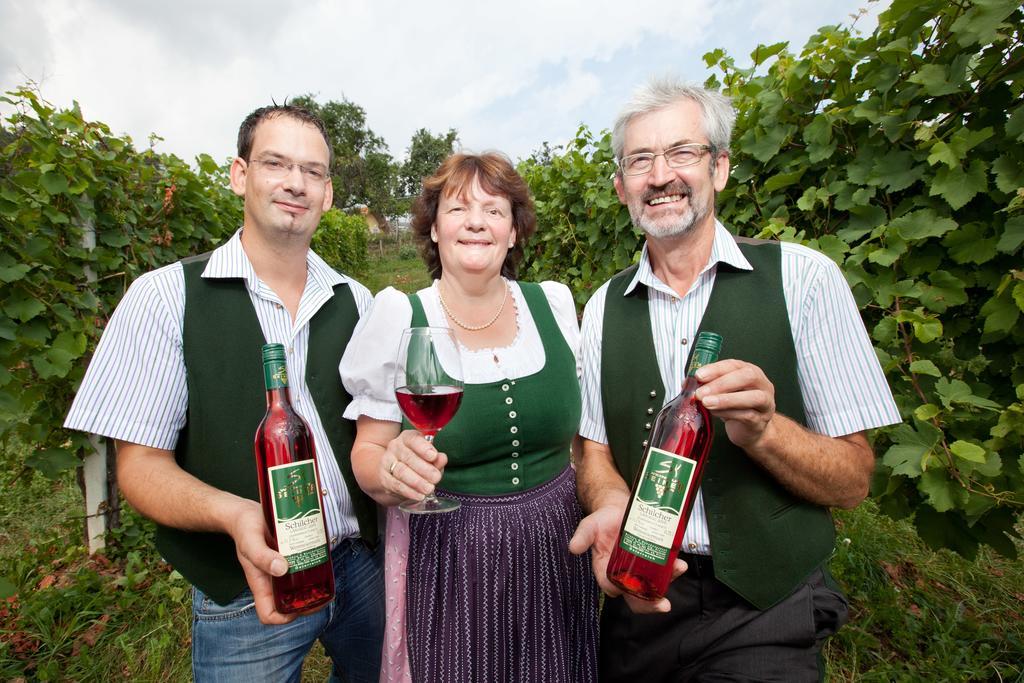 Weingut Seiner Vlg. Kraxner Villa Greisdorf Bagian luar foto