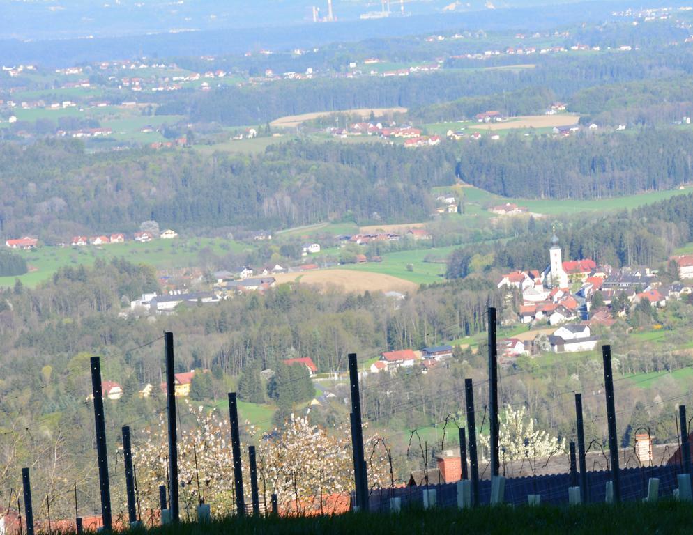 Weingut Seiner Vlg. Kraxner Villa Greisdorf Bagian luar foto