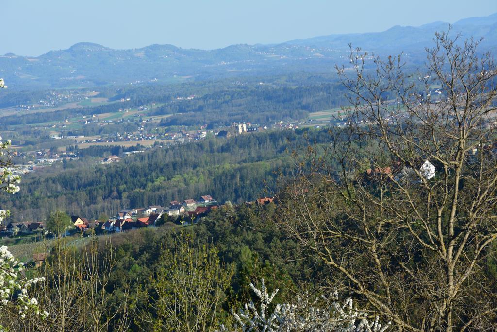 Weingut Seiner Vlg. Kraxner Villa Greisdorf Bagian luar foto