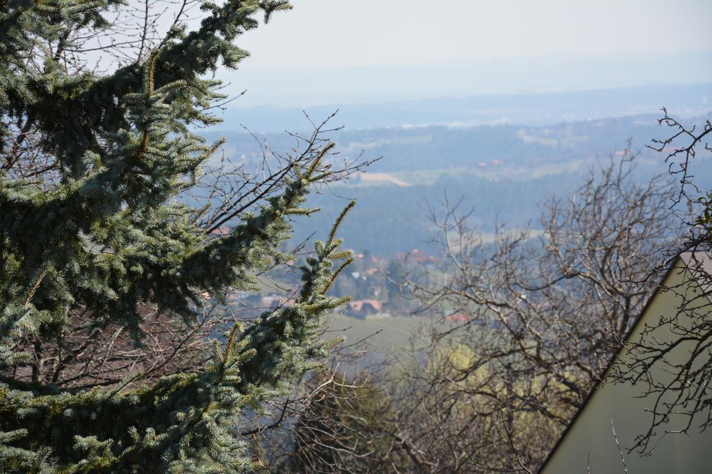 Weingut Seiner Vlg. Kraxner Villa Greisdorf Bagian luar foto