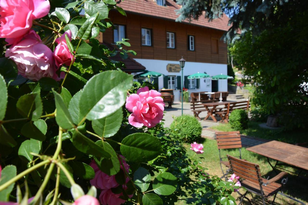 Weingut Seiner Vlg. Kraxner Villa Greisdorf Bagian luar foto